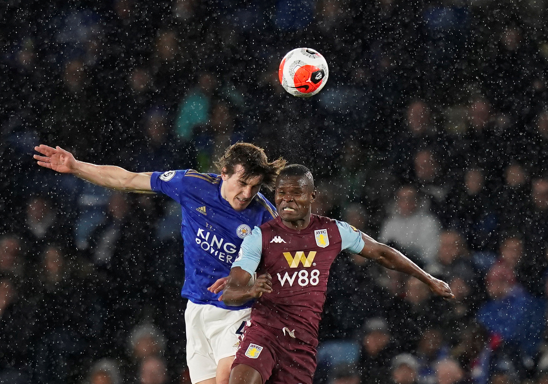 借此展示自 借此展示自